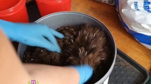 Моя схема составления грунта для комнатных растений