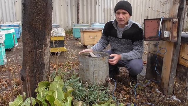 Поилка для пчёл /Поилка для пчёл с подогревом