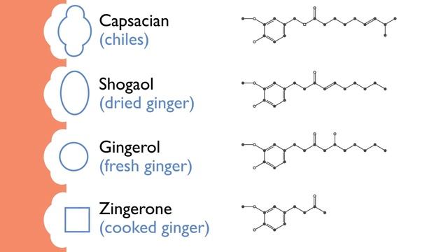 The Science of Ginger: Why and How it Burns and Its Impact on Cooking | Ginger | What's Eating Dan? смотреть онлайн