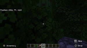 Minecraft Bedrock Finding Chunk Borders