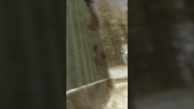 Как работает броня в Таркове ? #escapefromtarkov #eft #тарков #bsg #tarkovclips смотреть онлайн