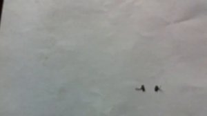 Разбор конденсатора КМ F22n