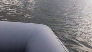 СУДАК в КОРЯЖНИКЕ.НА ДЖИГ.С ЛОДКИ.ТИОГА КОСИТ СУДАКА)))