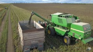 Подсолнечник держыт влагу а нам не когда ждать!Уборка семечки 2022!John Deere 1570!
