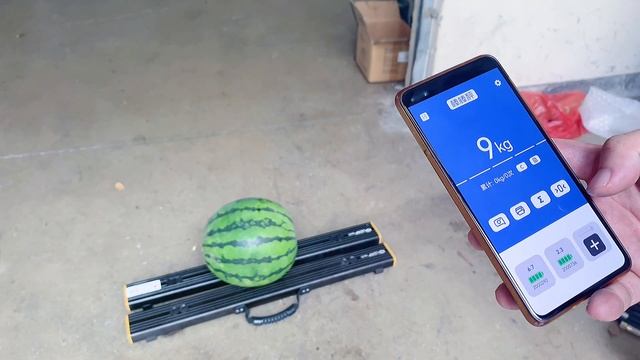 Portable Bluetooth Strip Weighing Scales смотреть онлайн