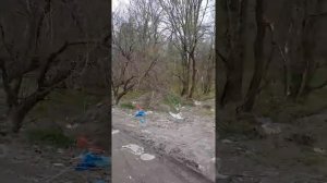 Город Калининград, окраина.