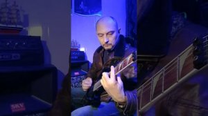 обзор  электрогитары Cort x-11