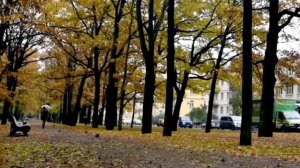 ПРОСТО ВСТРЕТИЛИСЬ ДВА ОДИНОЧЕСТВА... Песня в исполнение Владислава Косарева.