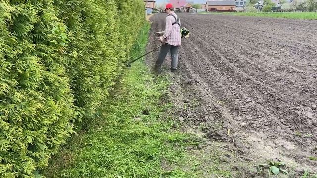 кошу високу траву мотокосою FORESTA, Grass Cutting with grass trimmer ▶️3 смотреть онлайн