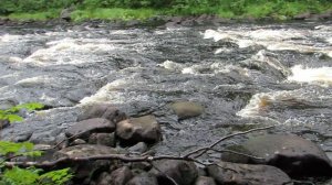 Сплав по реке Воньга. Краткое содержание.