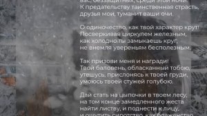 Белла Ахмадулина По улице моей который год…