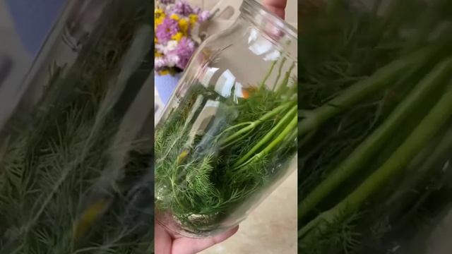 Лайфхак по хранению зелени