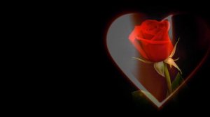 On Love  ~ Kahlil Gibran  ~ Music Armand Amar