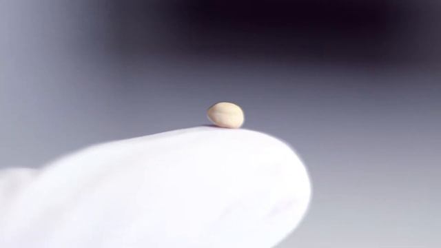 Лечебный центр на ухе // Аурикулотерапия смотреть онлайн