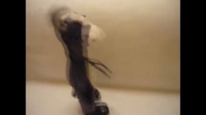 УПОРОТЫЙ танцующий ОСЕЛ - Приколы детские игрушки