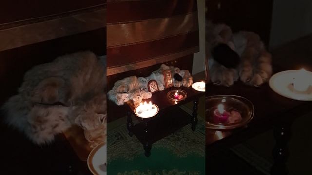 ПОРЧА ЧЕРЕЗ ПОДКЛАД.ВИДЫ ПОДКЛАДОВ НА СИТУАЦИЯХ В ЖИЗНИ ЛЮДЕЙ. #диагностика#подклад#снятьпорчу#таро