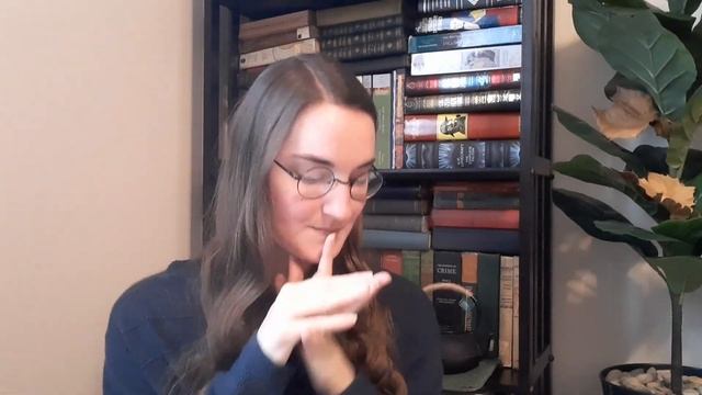 Plotting My Book With Save the Cat! Writes a Novel смотреть онлайн