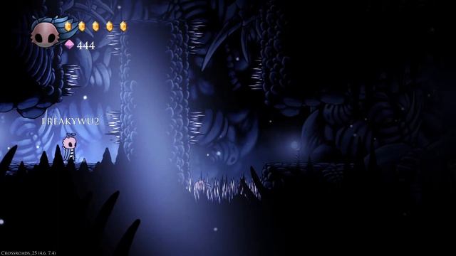 Hollow Knight Multiplayer
