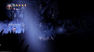 hollow knight multiplayer