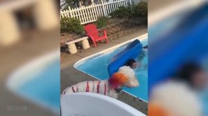 Я РЖАЛ ДО СЛЕЗ? Смешные видео ● неудачные падения в воду, подборка Приколы над людьми #6