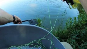 НАХЛЫСТ на озере: ловля амура и карпа летом в жару. Лучшая мушка на карпа для начинающих!