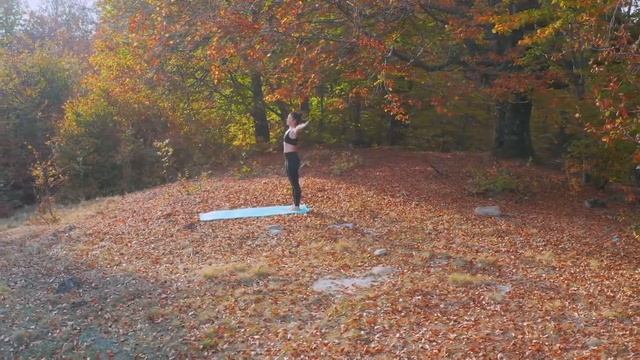 Управление вниманием. смотреть онлайн