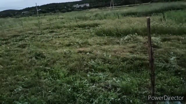 Урожая не будет ((( Теперь есть где хранить инвентарь смотреть онлайн