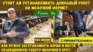 Почему заготовка кормов важней генетики? Российский доильный робот словно Волшебник? Молочная ферма.