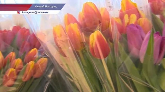 Топ пяти самых популярных цветов к 8 Марта