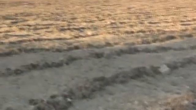 3 Поднятая целина   2011  Продолжение и конец посевной  14 05  31 05 2011 г