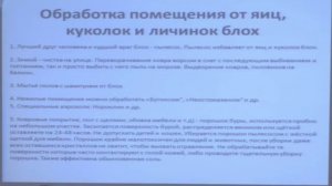 Насекомые - паразиты собак