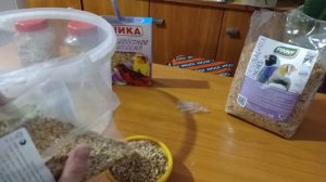 Розовобрюхие попугайчики. Чем я кормлю своих птиц. Состав зерносмеси.
