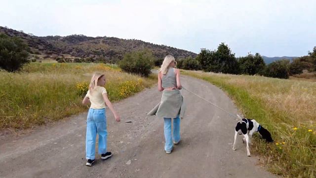 Мы нашли собачий приют и помогли ему!
