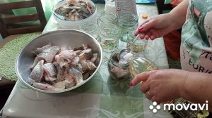 делаю консервы из леща//ЛАЙФХАК как чисто почистить рыбу //25 мая 2023 г.