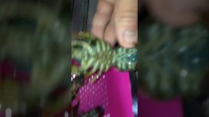 Как правильно чистить и варить раков!Часть1