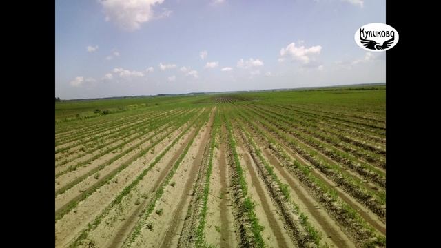 Подтопления на Яхромской пойме. 19.06.2020 смотреть онлайн