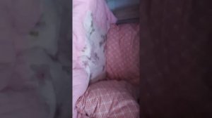 [Как сделать кровать  из подручных средств что есть дома ]обзор на кровать.🍓🍉🥥