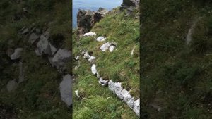 Восхождение на пик Любви