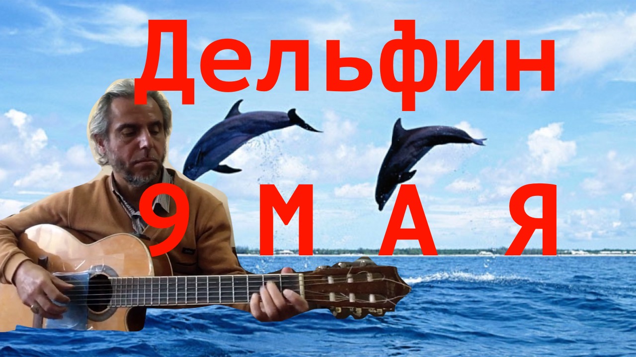 Дельфины кавер