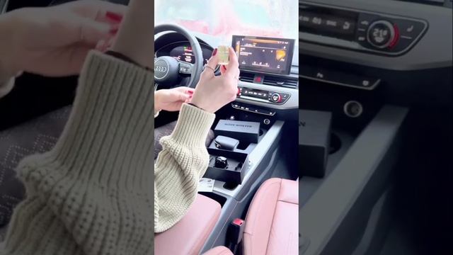 Подарочный набор ароматизатор в машину бульдог, ароматизатор в машину в дефлектор.