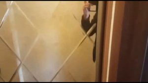 Двери купе, зеркало с гравировкой.