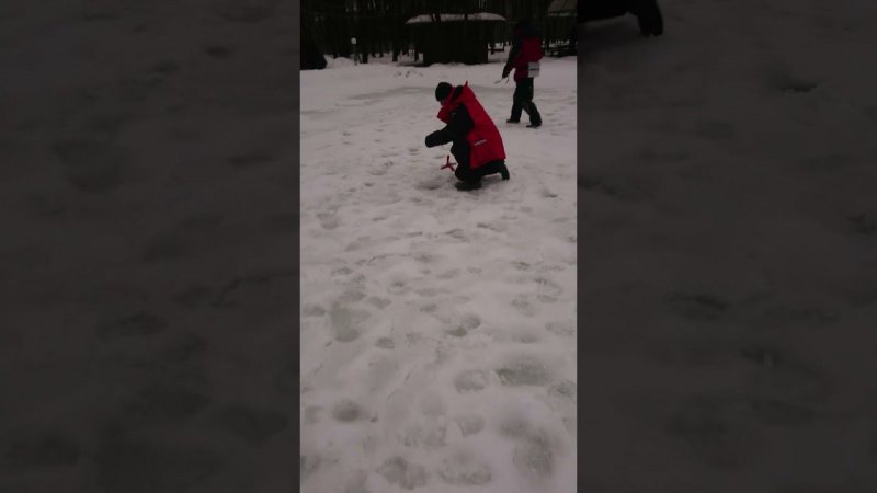 Работает "дамба"
