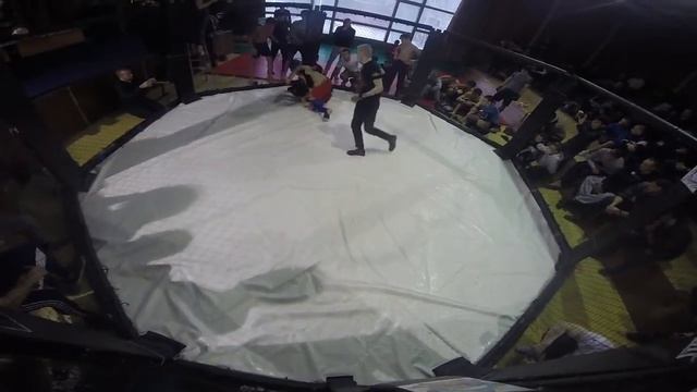 Турнир по ММА Белый воин смотреть онлайн