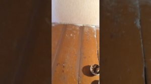 Шпатлевка по дереву !