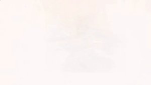 Стокгольм Видео экскурсия по Стокгольму ( Швеция )