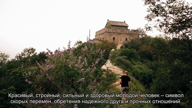 К чему снится молодой парень? Толкование сна и его значение по сонникам Ванги и Фрейда