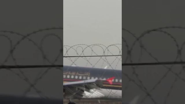 Аэропорт Домодедово. Airbus A320-200, бортовой №: JY-AYW, а/к ROYAL JORDANIAN, рейс из Аммана (AММ)