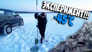 Как сохранить продукты в -45'С без холодильника и подвала / Эксперимент!