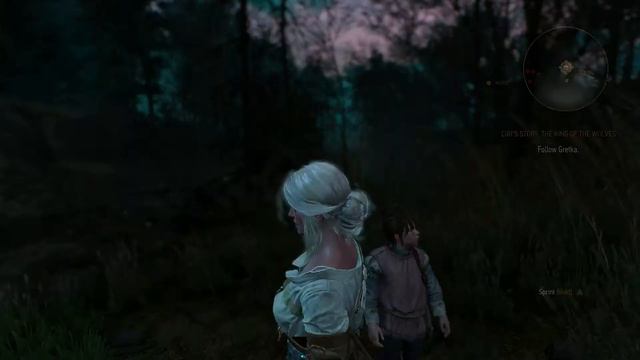 The Witcher 3: Wild Hunt - Xbox One Ep. 15 - "Ciri" смотреть онлайн