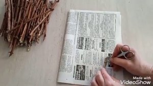 Черенкование жимолости методом Бурито.Подробно.Легко